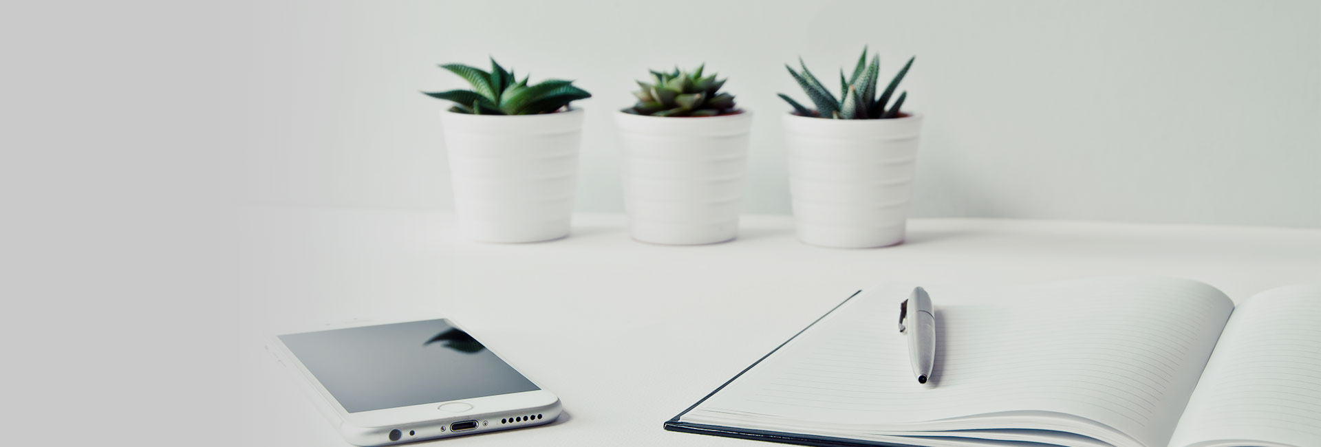 contact-banner