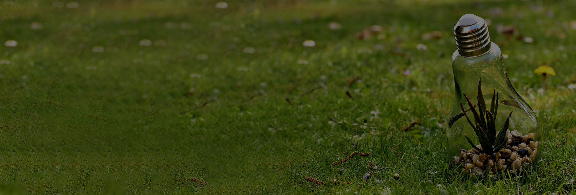 zeren-banner